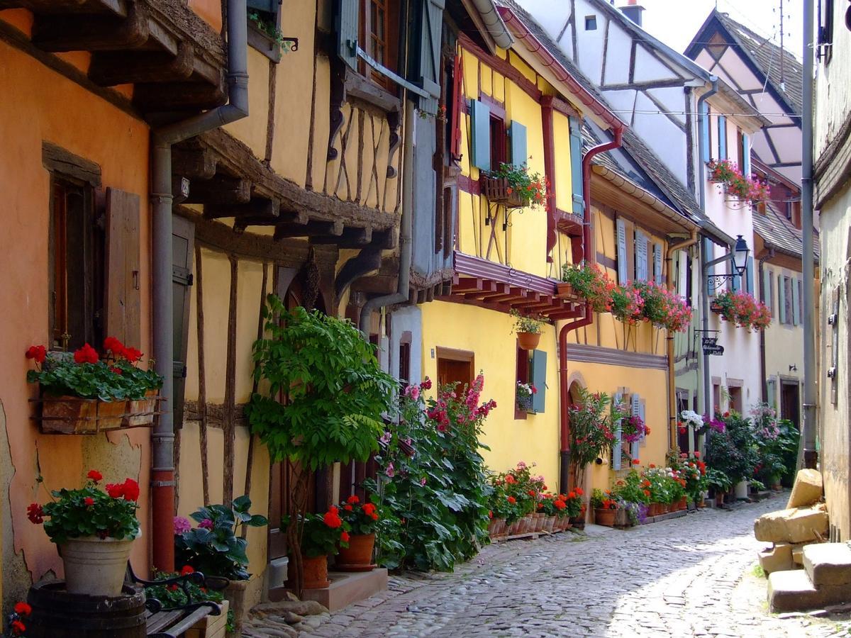 Camping Le Medieval Hotel Turckheim Kültér fotó